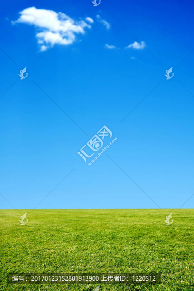 草和天空背景