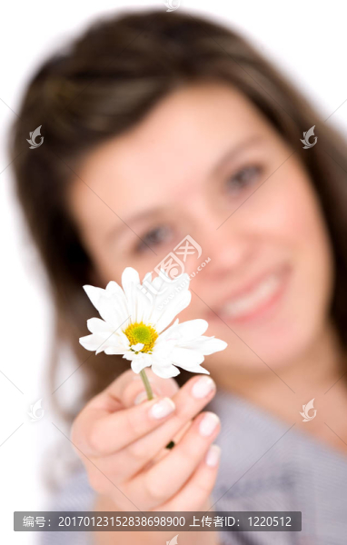 女孩提供一朵白色的花