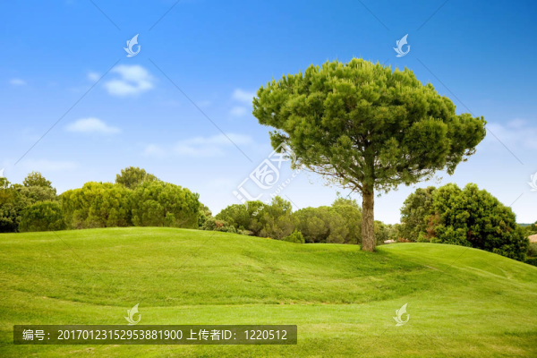 美麗的室外景觀