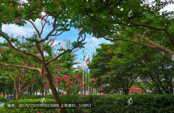 城市