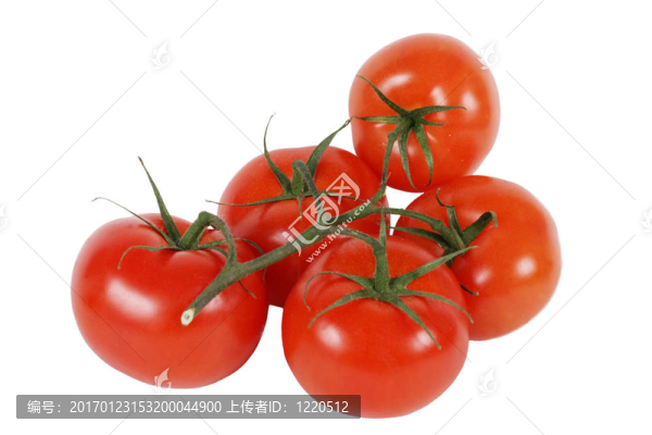 五西紅柿與樹(shù)枝