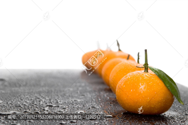 橘子收成時(shí)