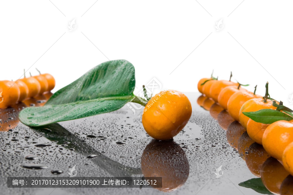 橘子收成時(shí)