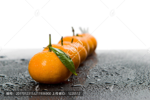 橘子收成時(shí)