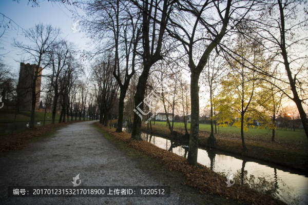 公園