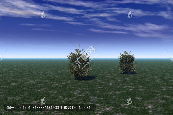 soliatary樹