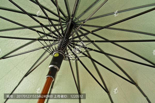 雨傘