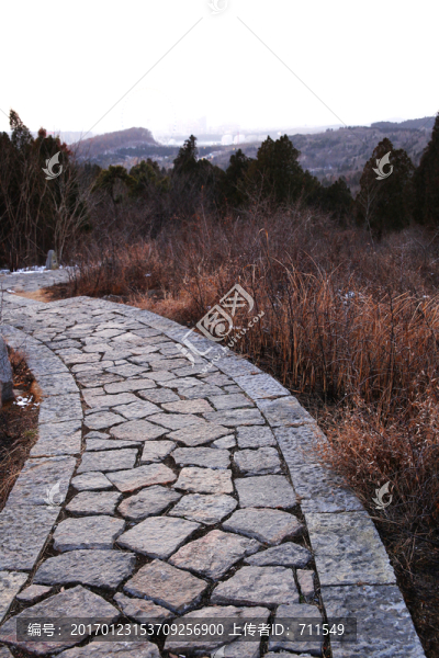 山上石頭小路