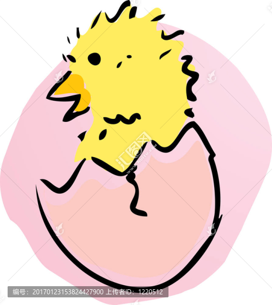 小雞
