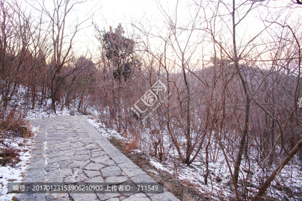 山林小路