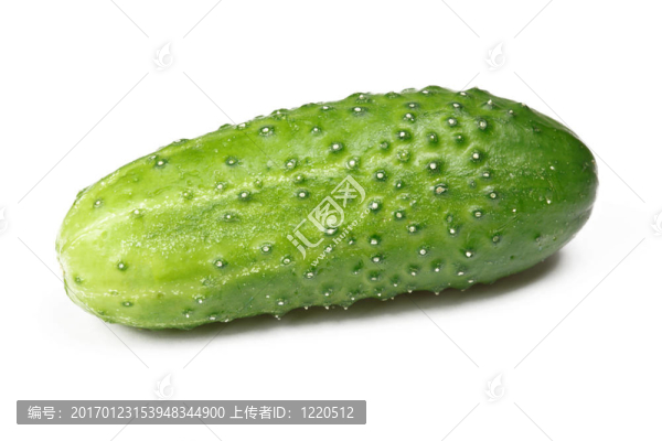 綠色的黃瓜中