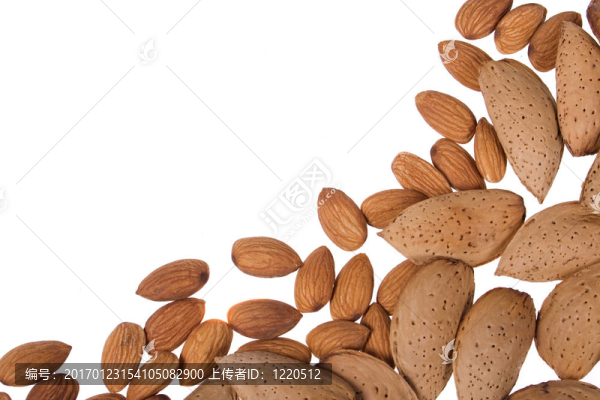 白色背景上的杏仁