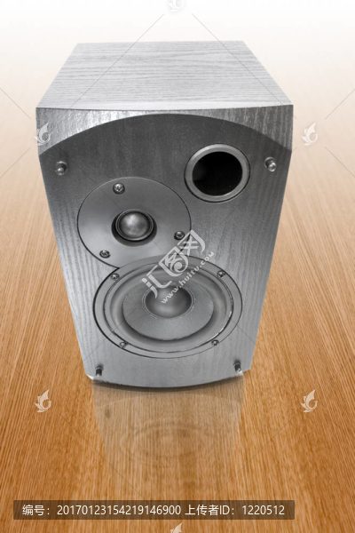 音頻揚(yáng)聲器