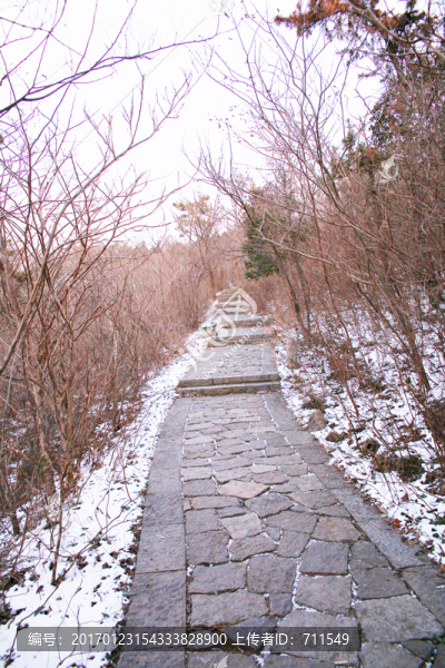 林間山路,路邊積雪