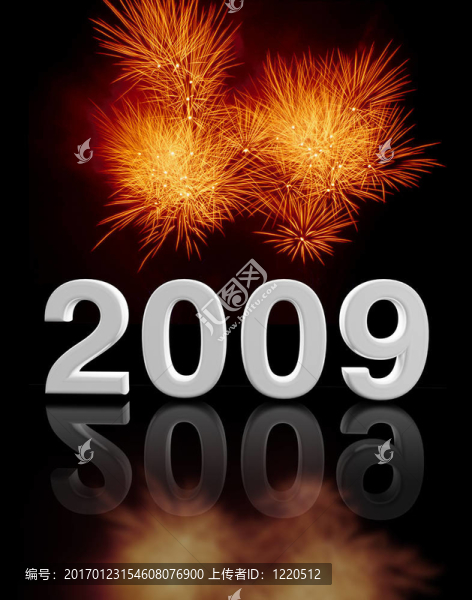 2009方