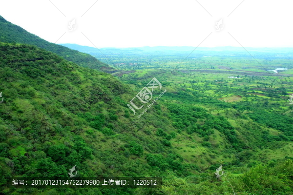 綠色的山景