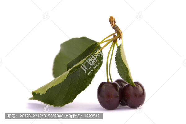 櫻桃