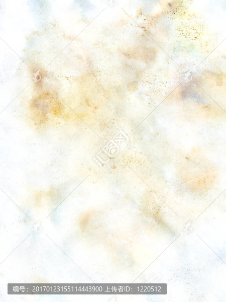 紙