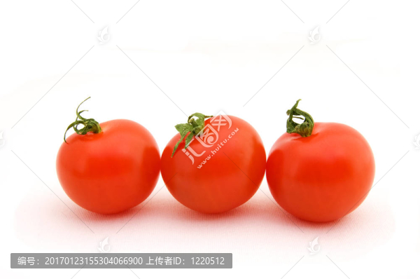三圣女果
