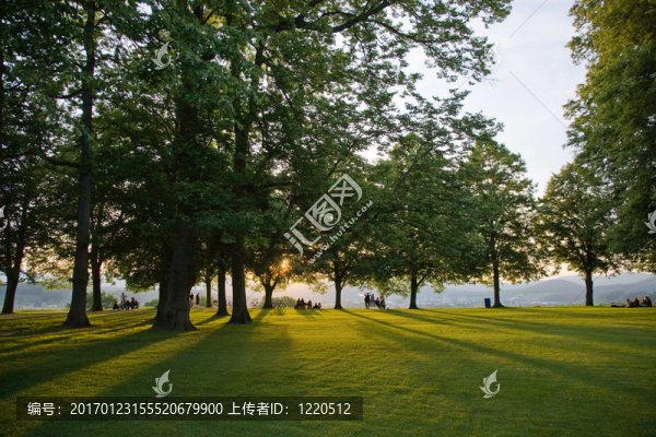 傍晚的太陽在heitere