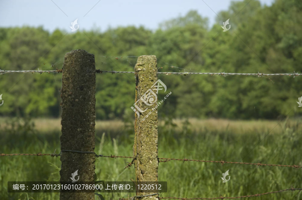 鐵絲網(wǎng)
