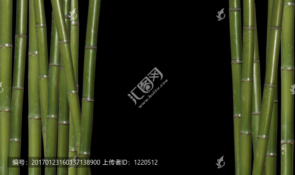竹的背景