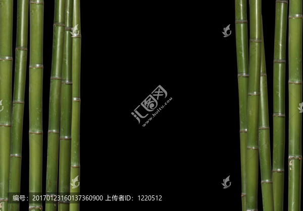 竹