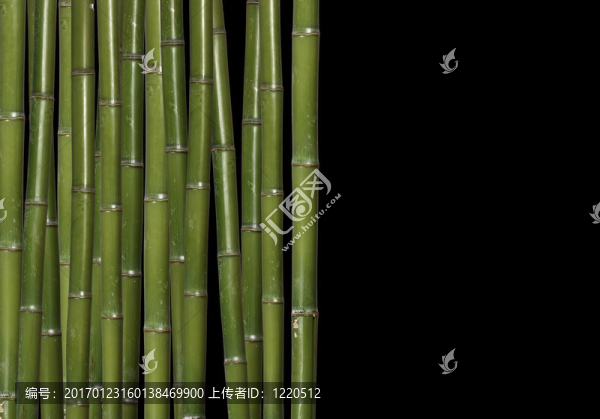 硬竹