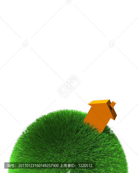 草坪上的橙色房子