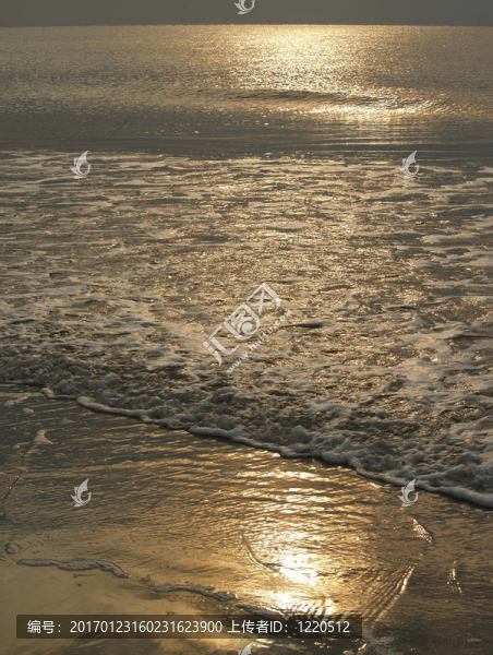 波光粼粼的晨海；狩獵島；SC