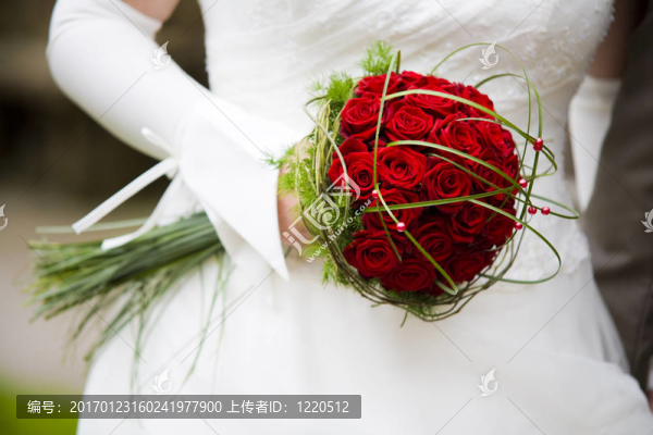 美麗的花朵