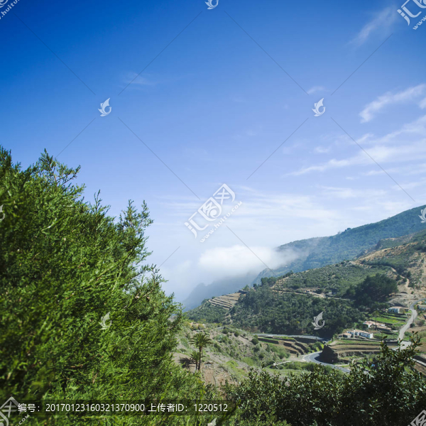 山