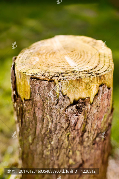 日志-匯圖網(wǎng) www.fosd68.com 日志