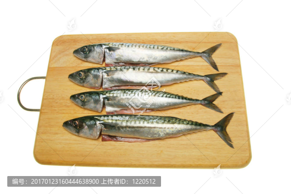 魚船上