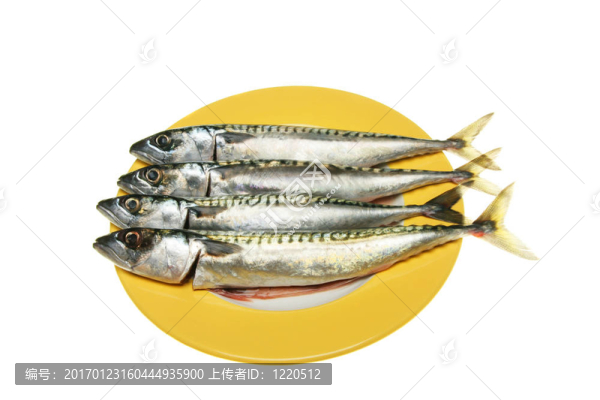 魚鱗板