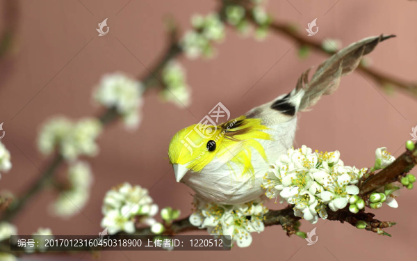 一只盛開(kāi)的梅花樹(shù)枝上的麻雀（不是真鳥(niǎo)）
