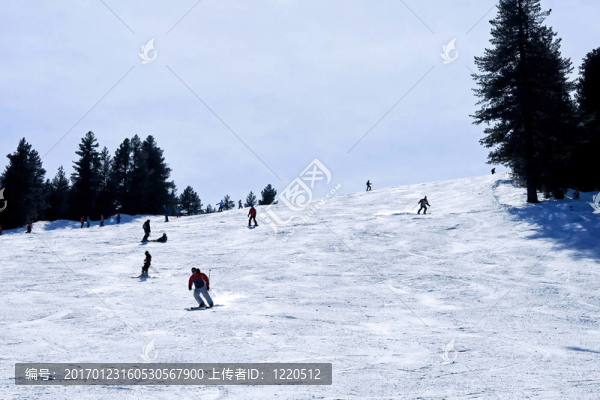 滑雪斜坡