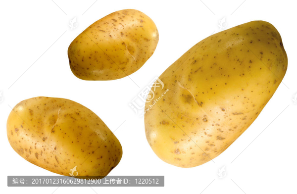 三新鮮的土豆