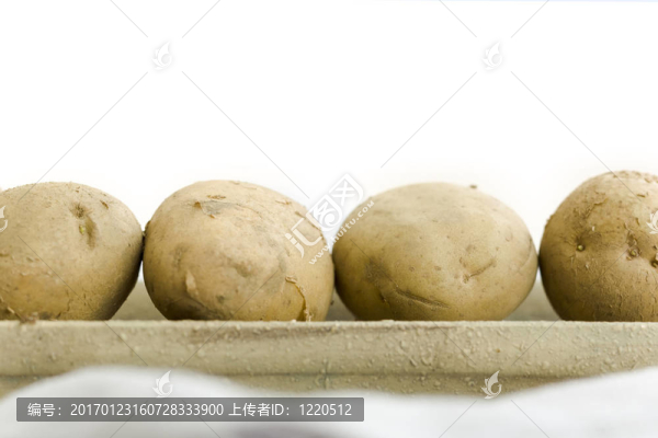 五生土豆