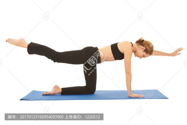 普拉提運(yùn)動(dòng)系列