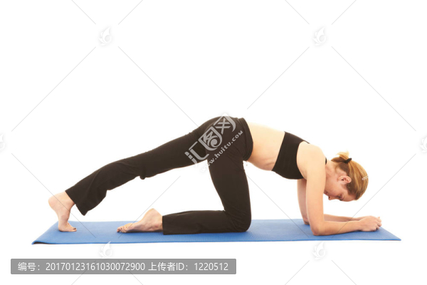 普拉提運(yùn)動系列