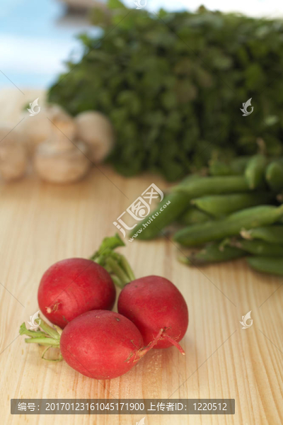 切菜板上的各種蔬菜；包括歐芹；蘿卜；豆類和蘑菇