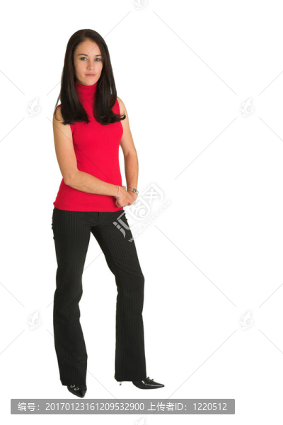 性感的女商人