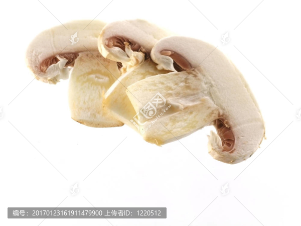 鮮香菇