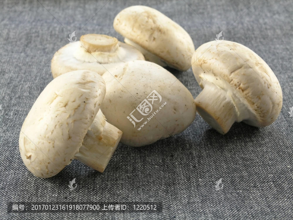 鮮香菇