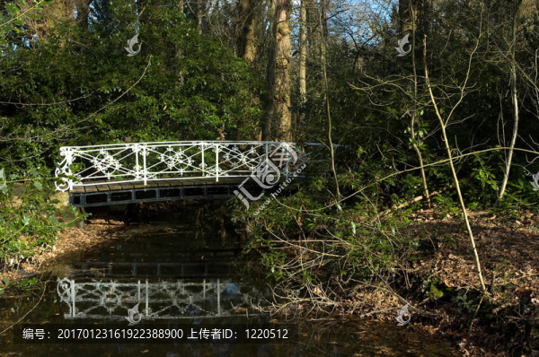 小溪上的白色橋