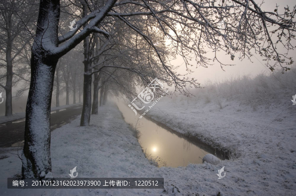 冬季景觀