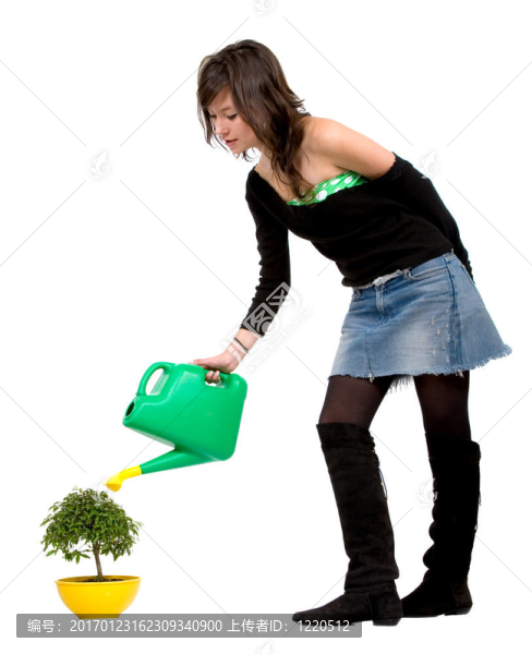 女孩給樹澆水