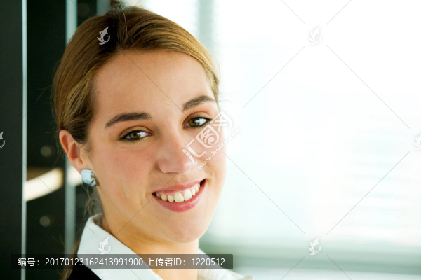 辦公室里的商業(yè)女性畫像