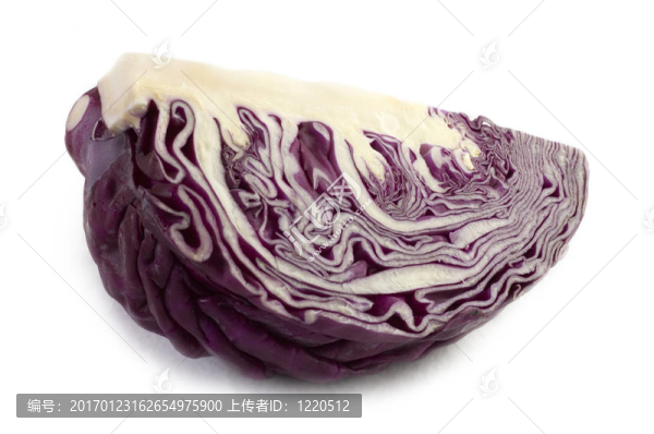 紅甘藍(lán)
